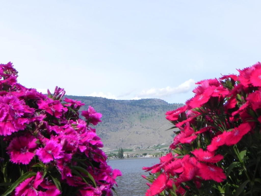 Destiny Beach Resort Osoyoos Buitenkant foto
